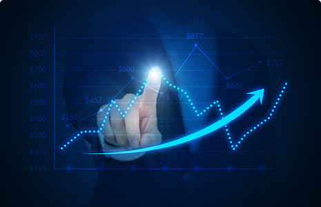 完善制度，规范流程，严格履行信息披露义务