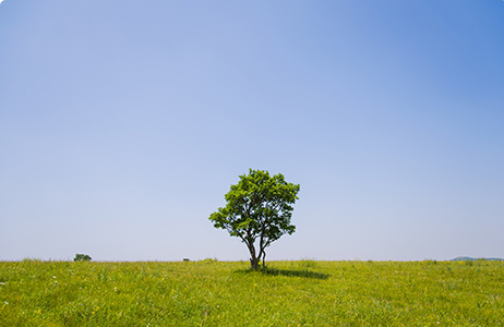 完善制度，规范流程，严格履行信息披露义务