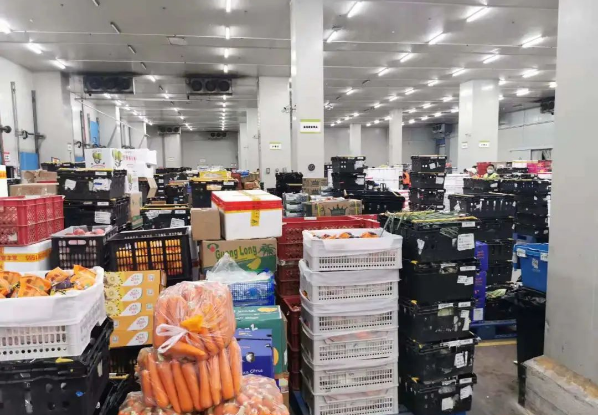 助力民生和医疗物资保供，壹号娱乐-com抗疫救灾一直在线！